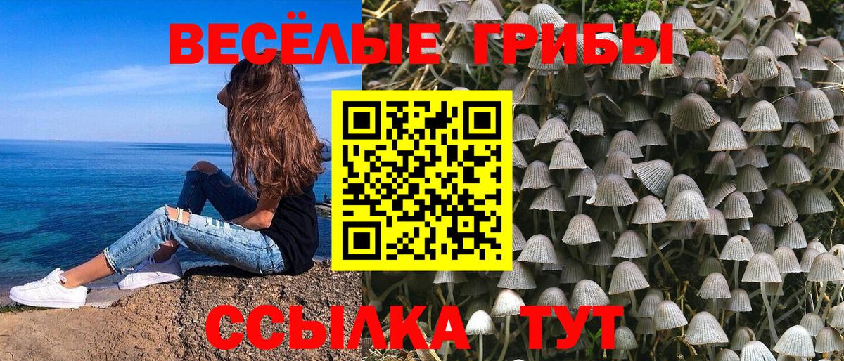 Галлюциногенные грибы ЛСД Якутск