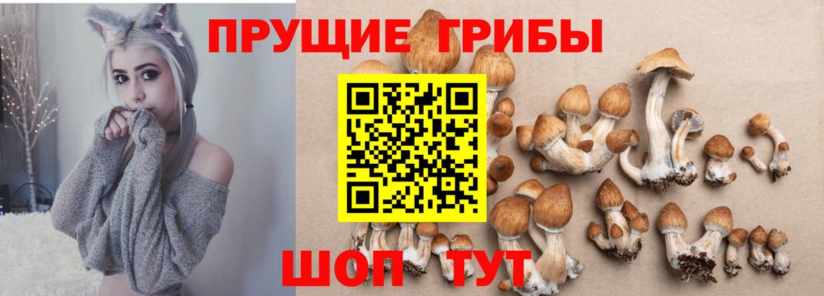 Якутск  Галлюциногенные грибы мухоморы  купить закладку  Вход с VPN 